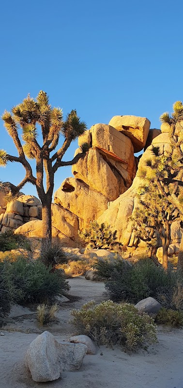 Pinto Mountains Wilderness