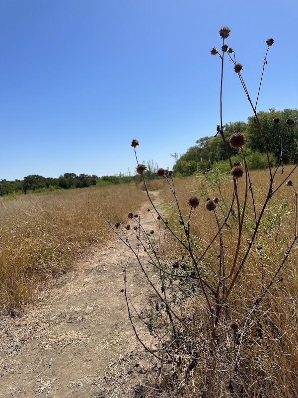 Menard Park