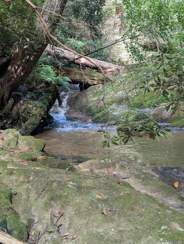 Mill Creek Falls Nature Preserve