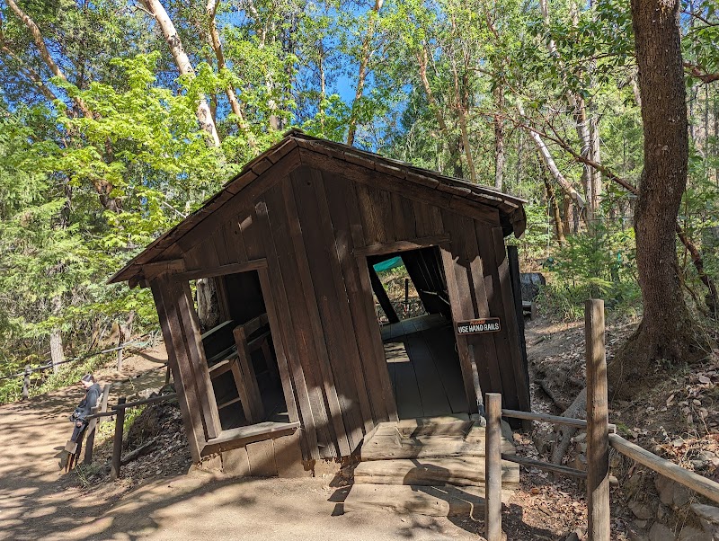 The Oregon Vortex