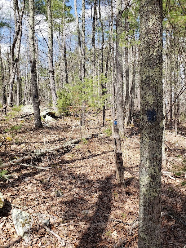 Mason Hill Conservation Area