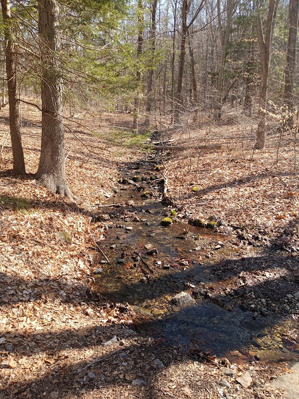 Crow Hill Nature Preserve