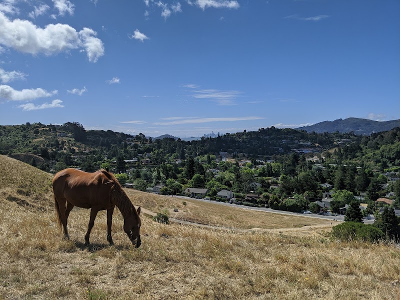 Horse Hill Preserve