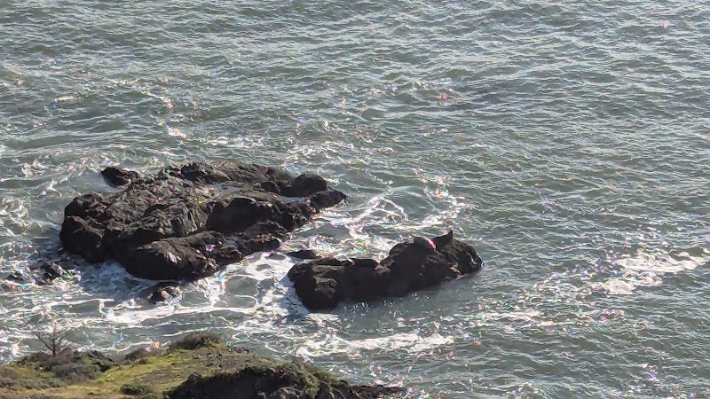 Seal Rock