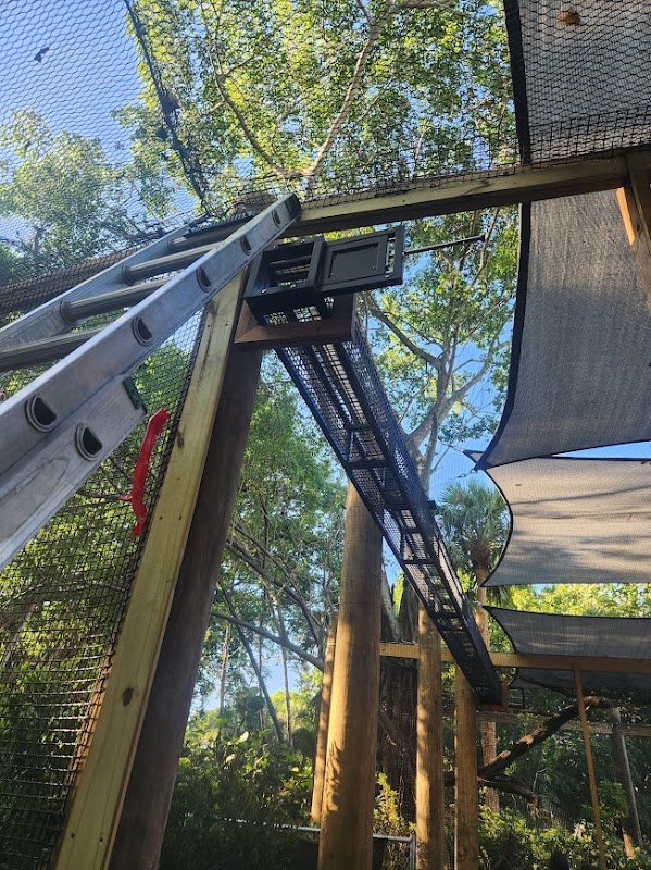 The L Stands for Life