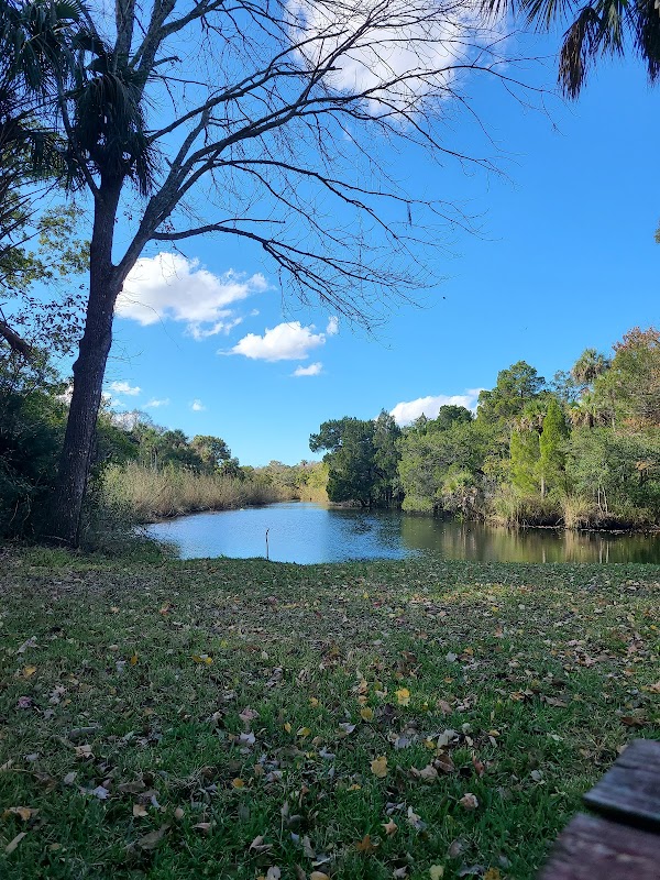 Hall’s River Headwater Spring
