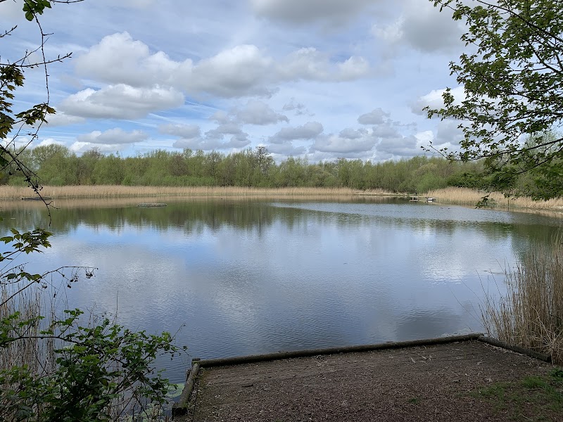 Clifton Woods Local Nature Reserve