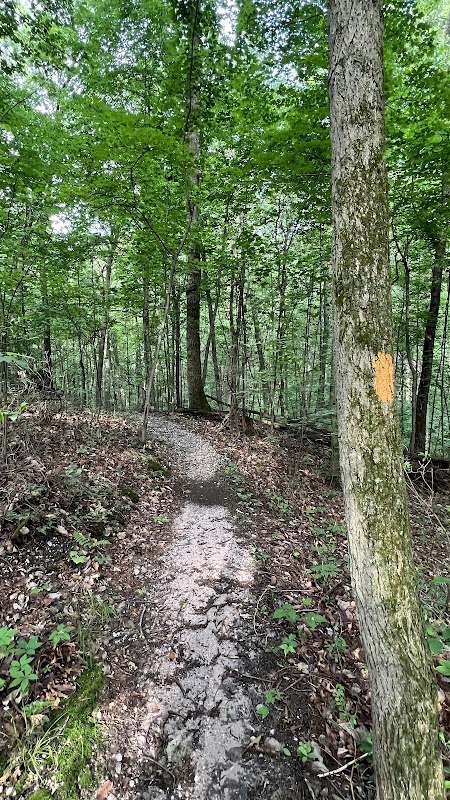 Buxton Conservancy Parking