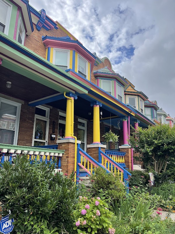 Baltimore Painted Ladies