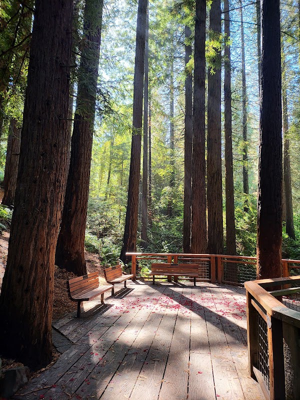 Hoyt Arboretum