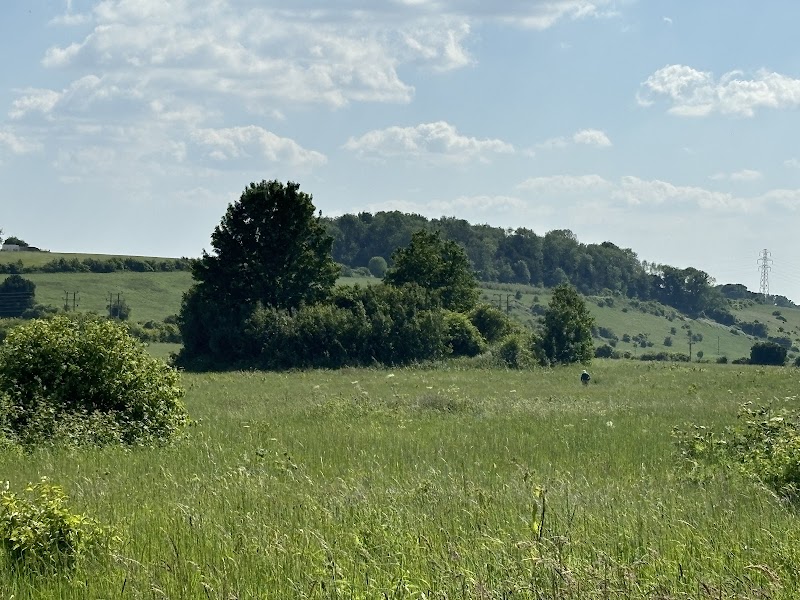 Oliver's Battery Recreation Ground (No Dogs Allowed)