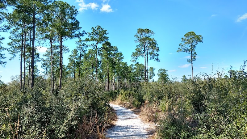 Pine island hiking trail