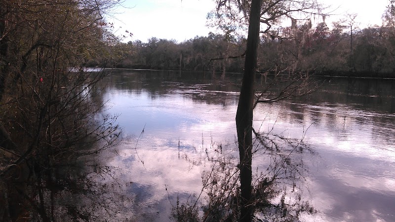 Peacock Recreational