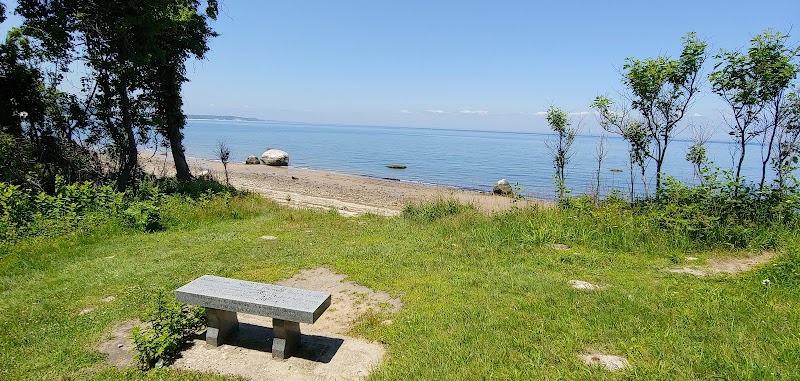 David Weld Sanctuary