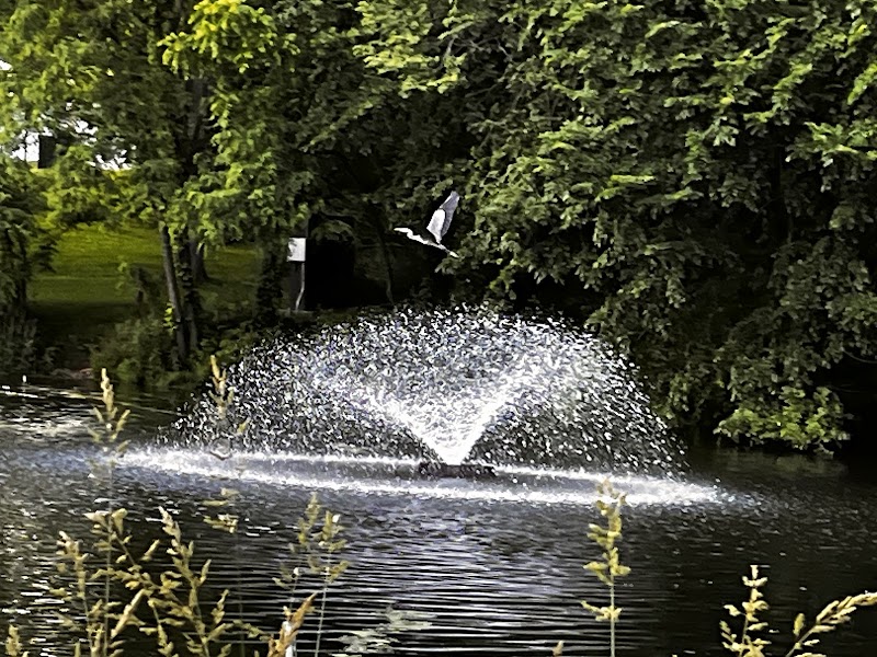 Springlake Pond