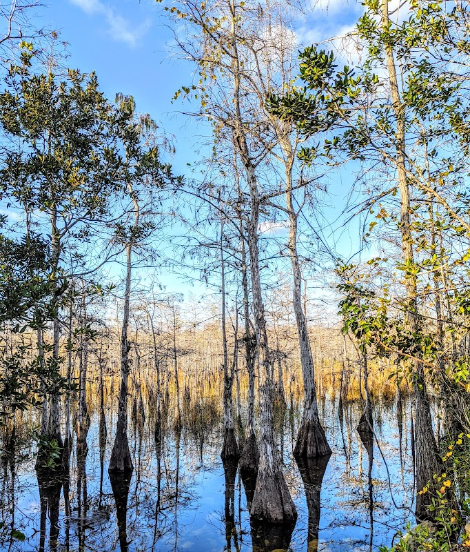 Mitchell Landing Big Cypress National Preserve