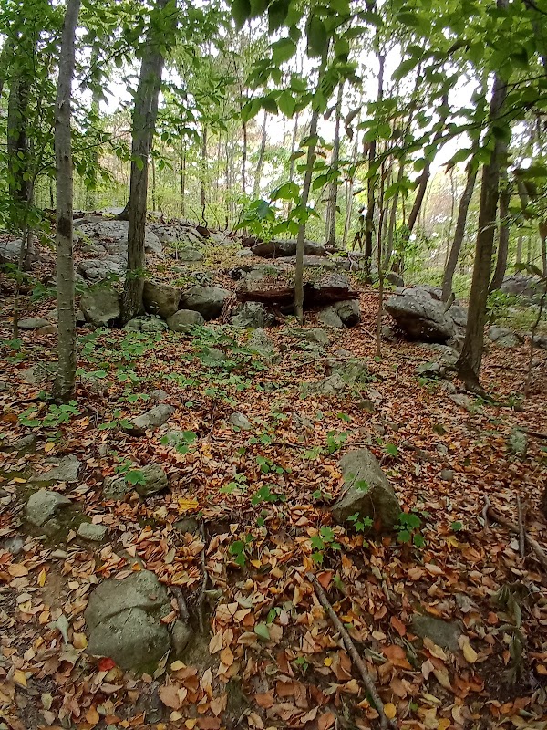 Highlands Meadow Property