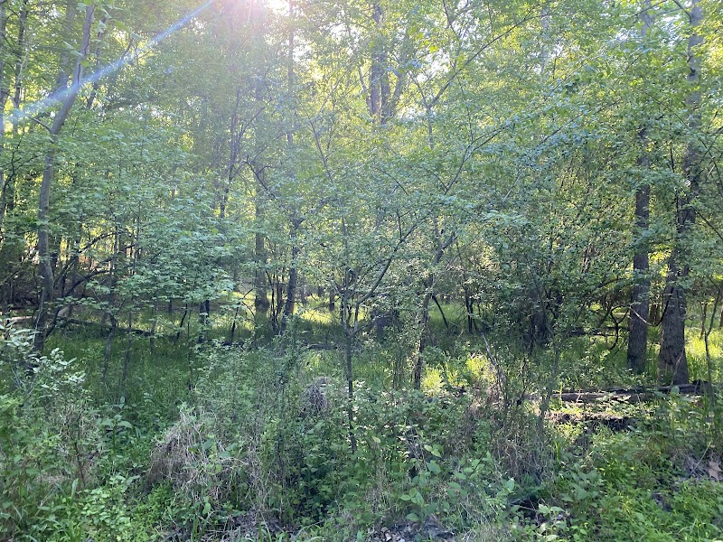 Providence Nature Preserve