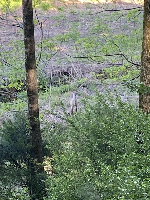 Providence Nature Preserve