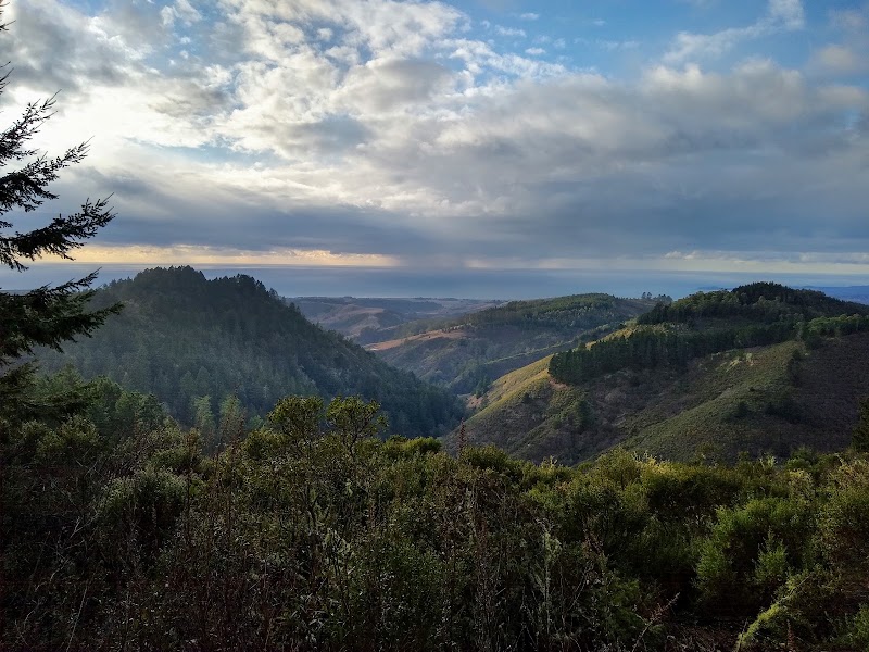 Purisima Creek Redwoods Preserve North Ridge Parking Area