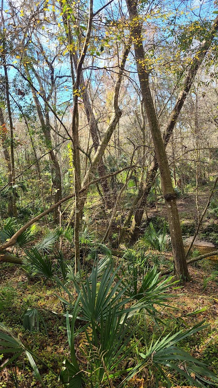 Gainesville Parks & Recreation