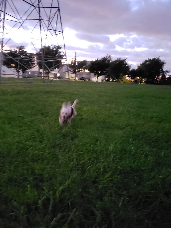 Inwood Peacefull Lawn