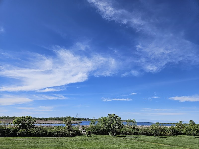 Braddock Bay Hawkwatch
