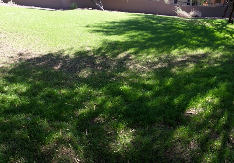 AURORA/hemingway Park