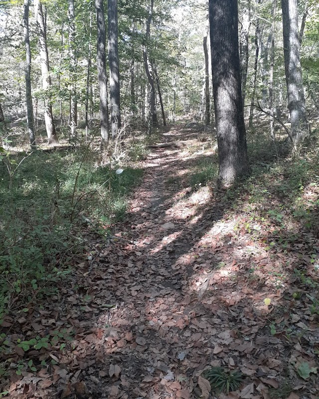 Helen Altschul Preserve