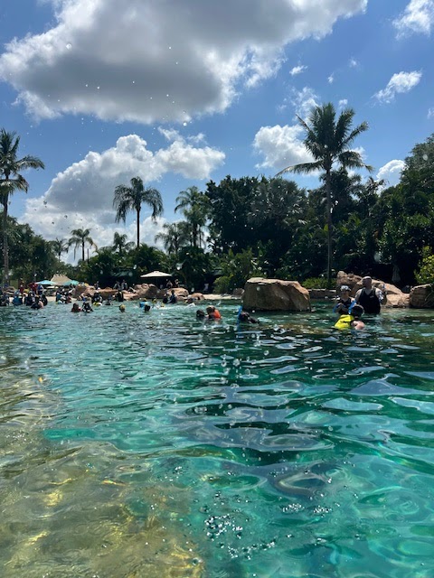 The Grand Reef