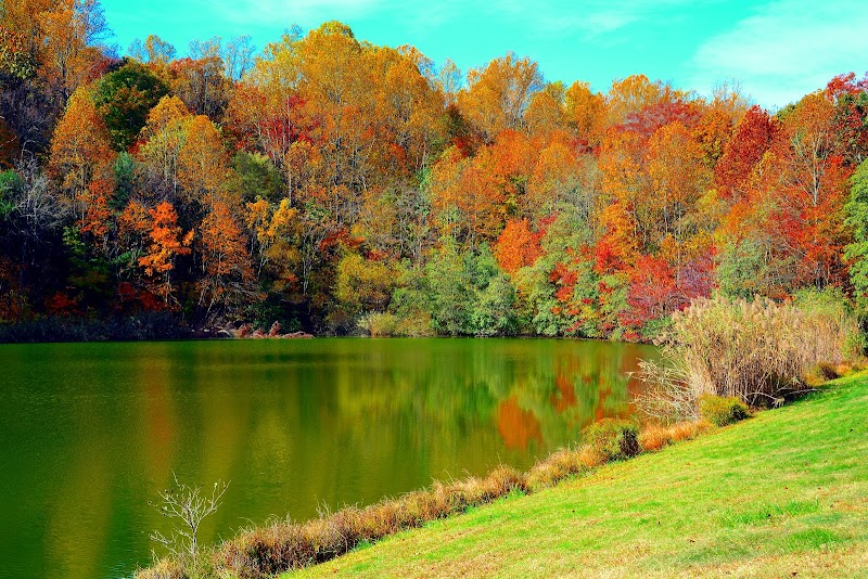 Stinson Run Reservoir