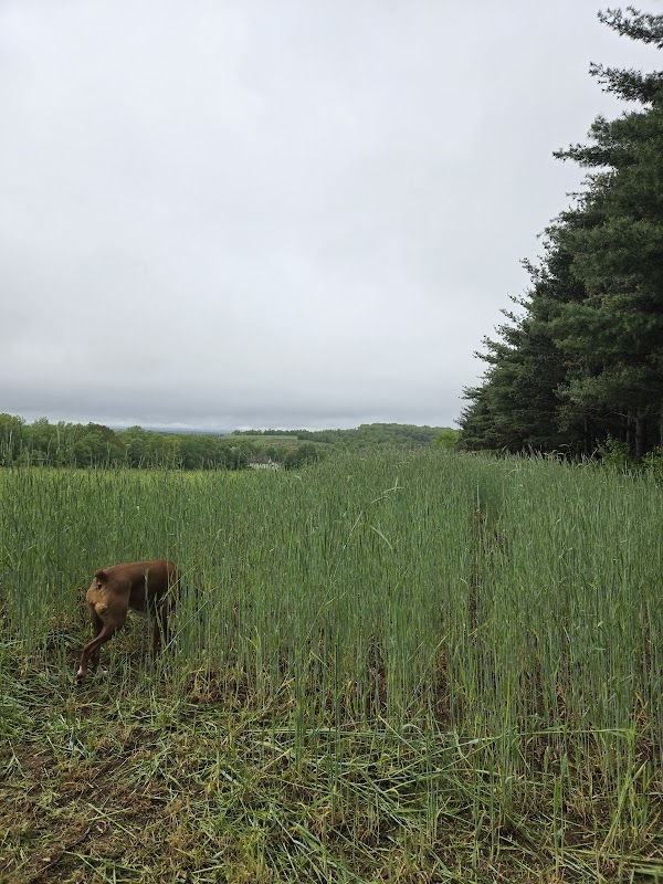 Niederwerfer Sanctuary