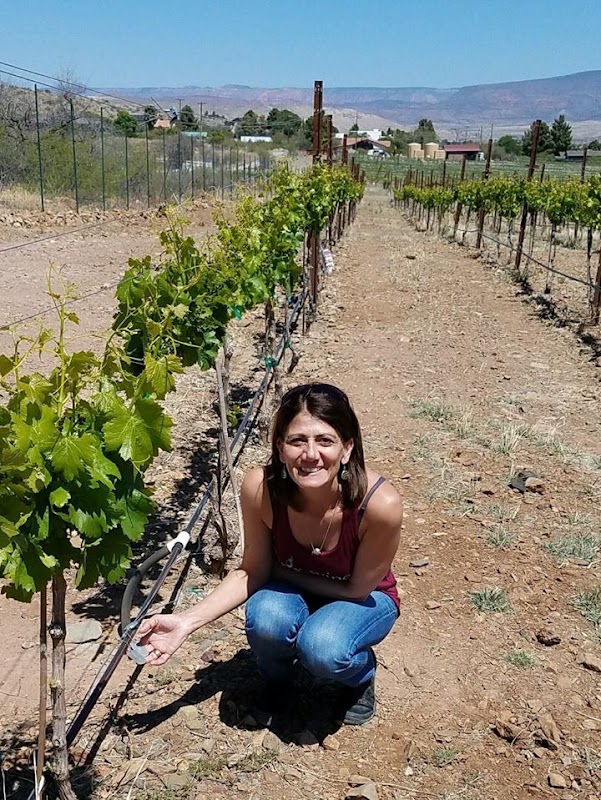 About Wine and Travel