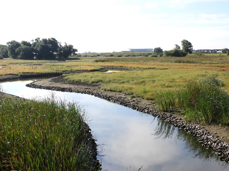 Carp River Conservation Area