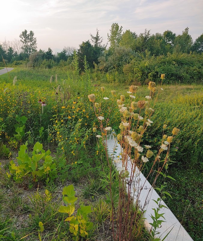 Gilmore Metropark (Bilstein Rd. Entrance)