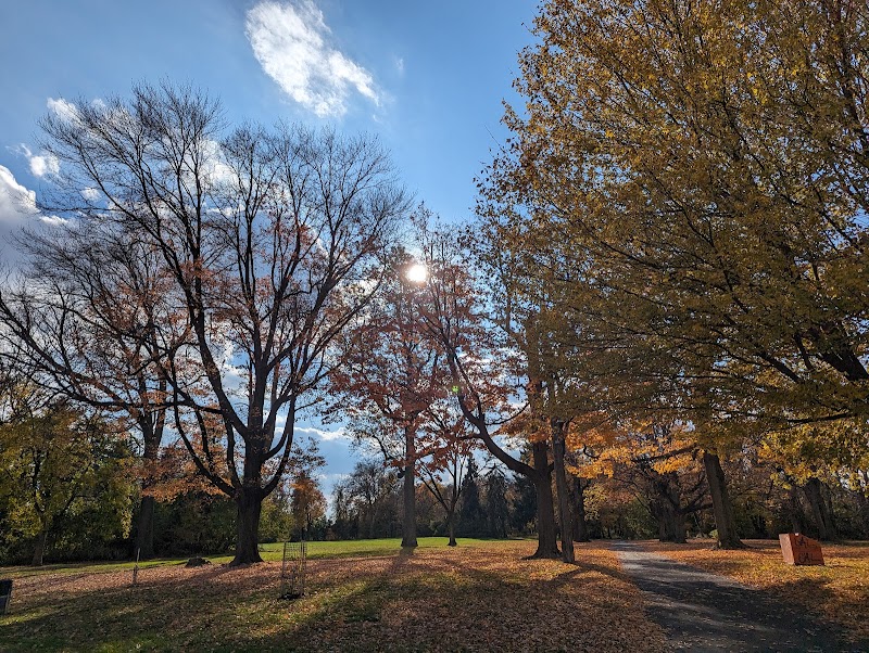 Friends of Fluehr Park