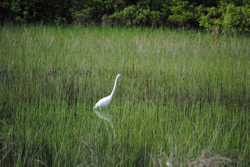 Indigo Lake Estates Beach Park & Pavillion- Private