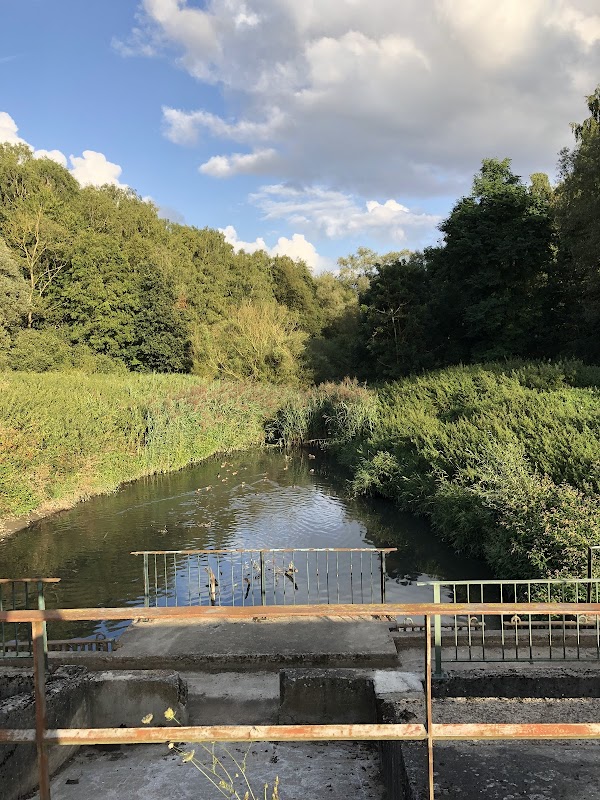 Réserve Naturelle de Viesville