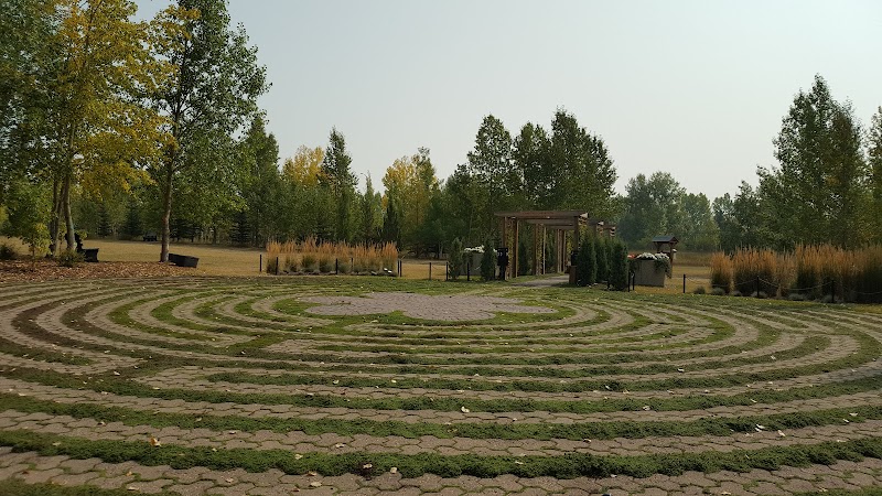 BP Birthplace Forest