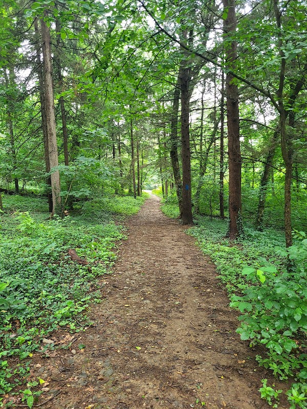 Landis Woods Park & trails