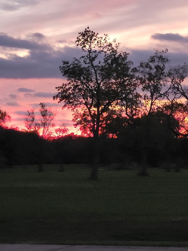 Tom Bass I Rainbow Trout Stocking Pond