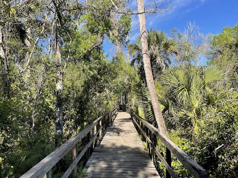Big Cypress Bend Boardwalk
