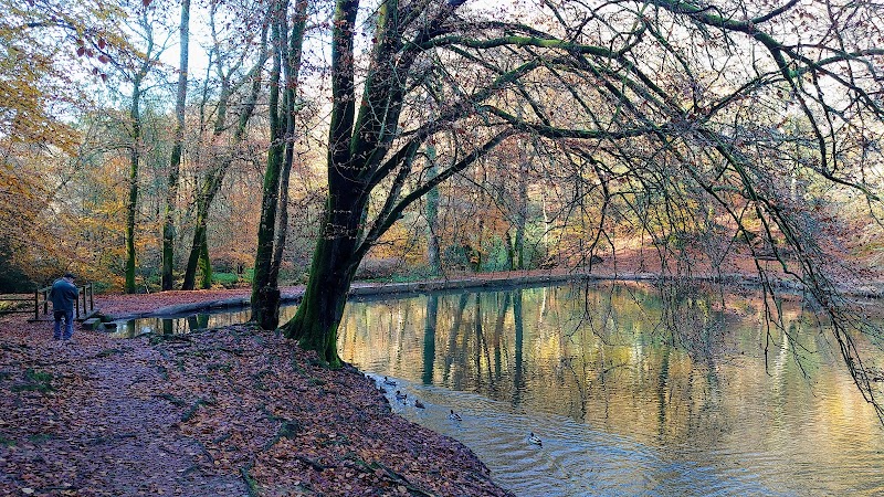 National Trust - Ludshott Commons