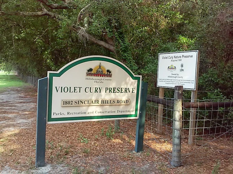Violet Cury Preserve