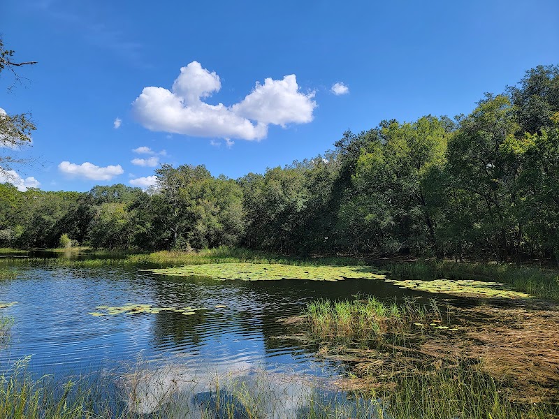Violet Cury Preserve