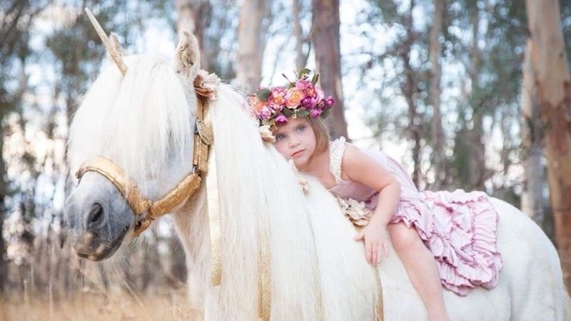 SweetWater Farms Petting Zoo and Pony Rides