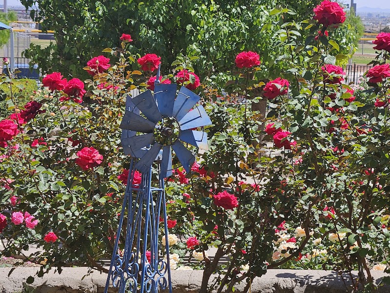 Memorial Park