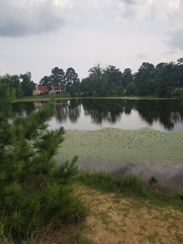Newport Back Duck Pond