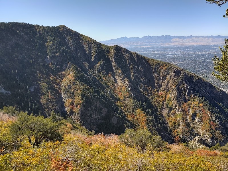 Ferguson Canyon Trail Head