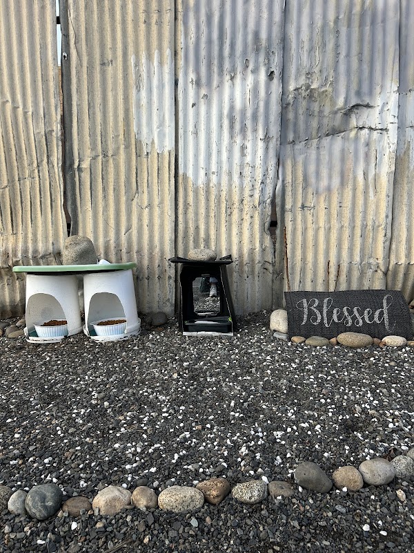 Blessed Cats